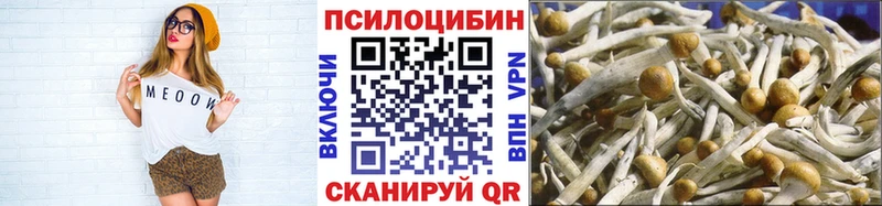 Галлюциногенные грибы Cubensis  Котельниково 